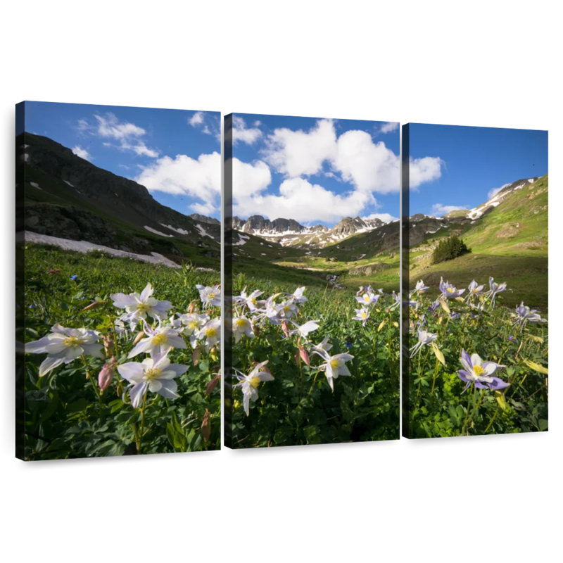 Champ de fleurs Harnek Columbine, H 48 po x l 74 po