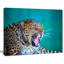 «Wild Leopard Close up View», impression-35062502-35062497