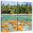 Gillard Starfishes Resting-109037459