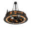 Personalized Downrod Ceiling Fan