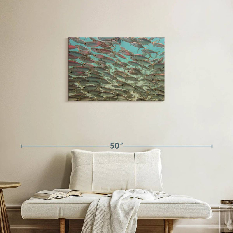 Crowle sous les poissons tropicaux, H 20 po x l 30 po