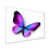 Toile blanche encadrée