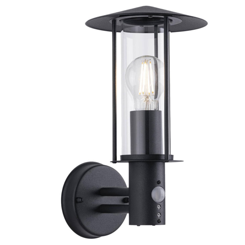 Needham - Brushed Stainless Steel Motion Sensor Outdoor Security Lights, 1 Light, Black