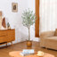 Eucalyptus artificiel Adcock en pot, plante artificielle, faux arbre pour la décoration intérieure-809450247-809388535