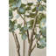130cm Faux Eucalyptus Tree in Fibrestone Pot-1203865728