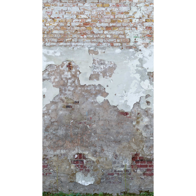 Brandessa Brick Wall Mural