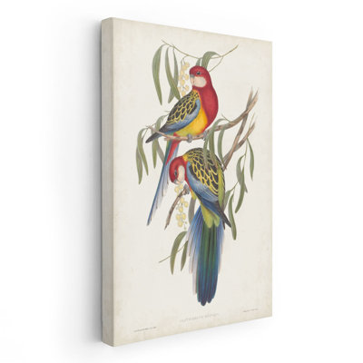 Tropical Parrots IV - reproduction d'art sur toile
