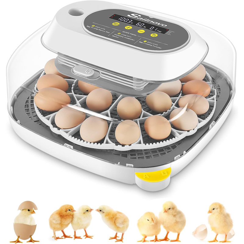 24 Chicken Egg Incubators with 4 Modes, 360° View Incubator with Automatic Egg Turning and Temperature Control Humidity Display, Digital Incubator for Chicken Quail Duck