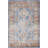 Oriental Indoor Rug-1362073040