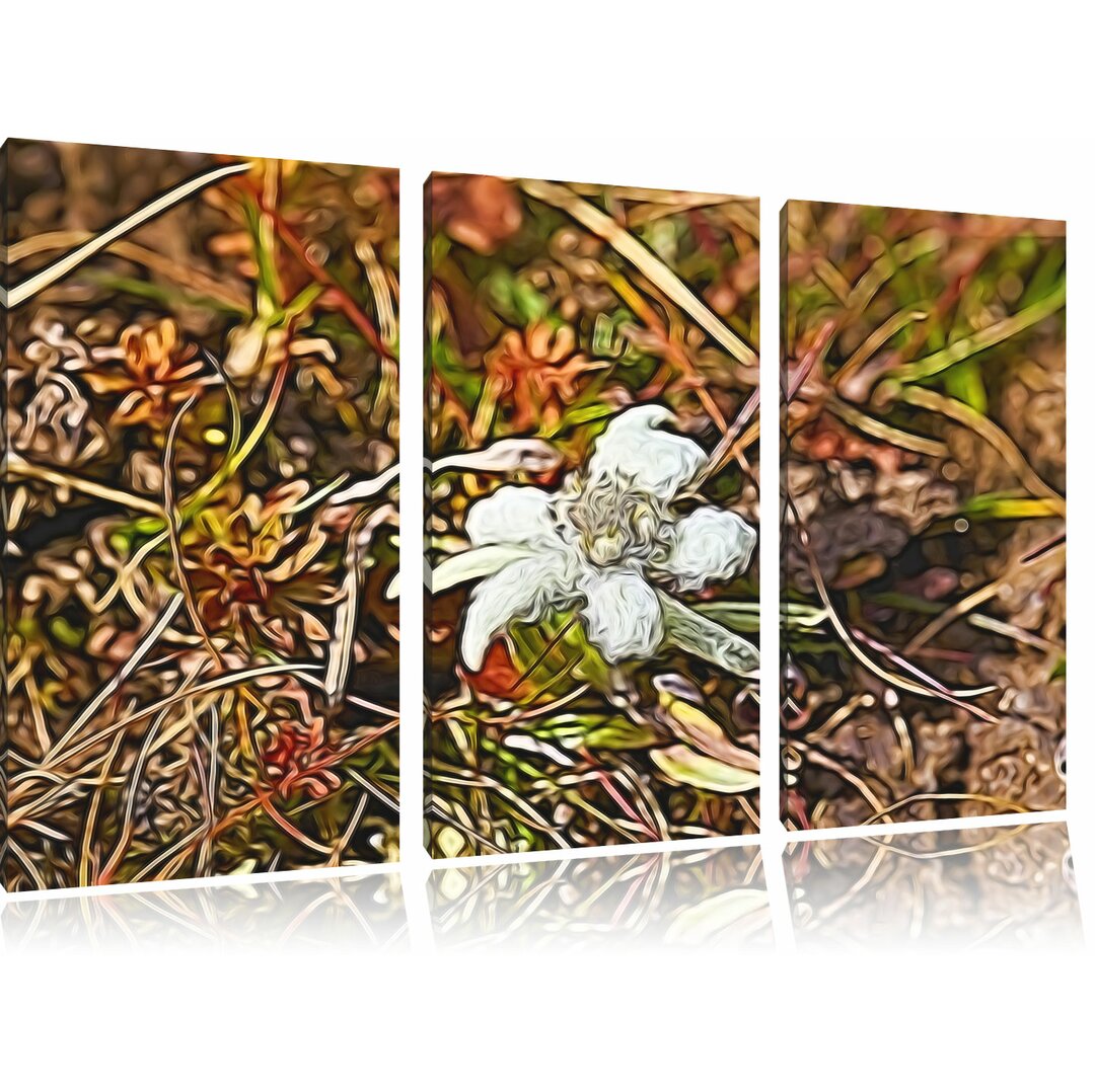 3-tlg. Leinwandbilder-Set „Watteüberzogene Blüte“, Grafikdruck