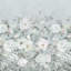 Fleurs Blanche Platinum Shower Curtain