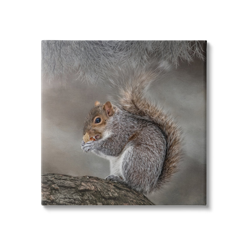 «Woodland Wildlife Squirrel» par Kelley Parker - impression sur toile tendue, H 17 po x l 17 po x P 1,5 po