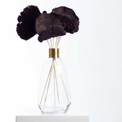 Champignon éponge naturel préservé dans un vase