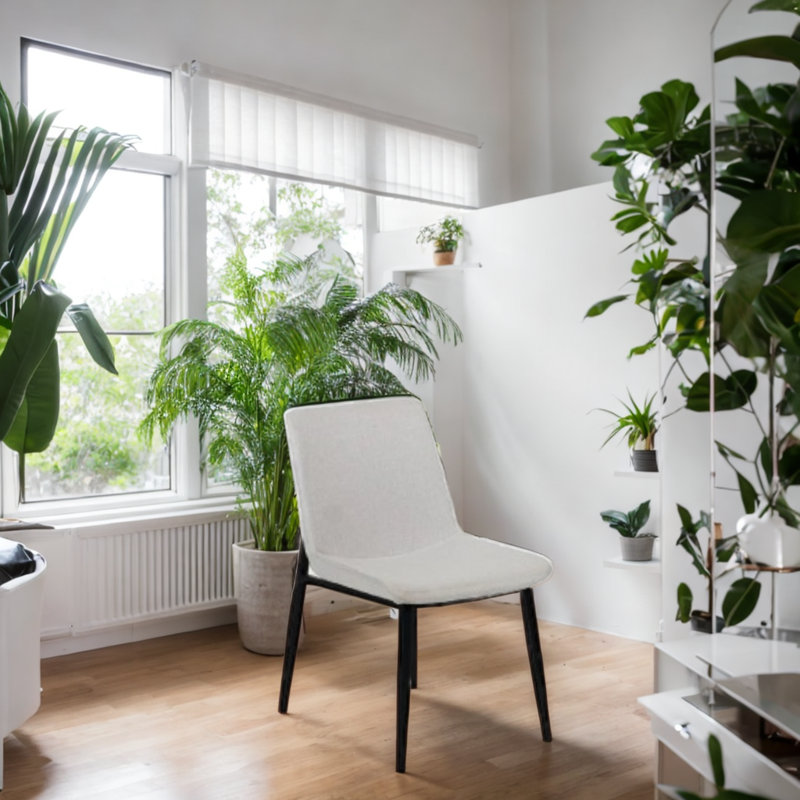 Chaise Olbap, Colombe