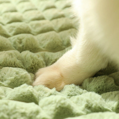 Matelas de lit moelleux lavable pour chien