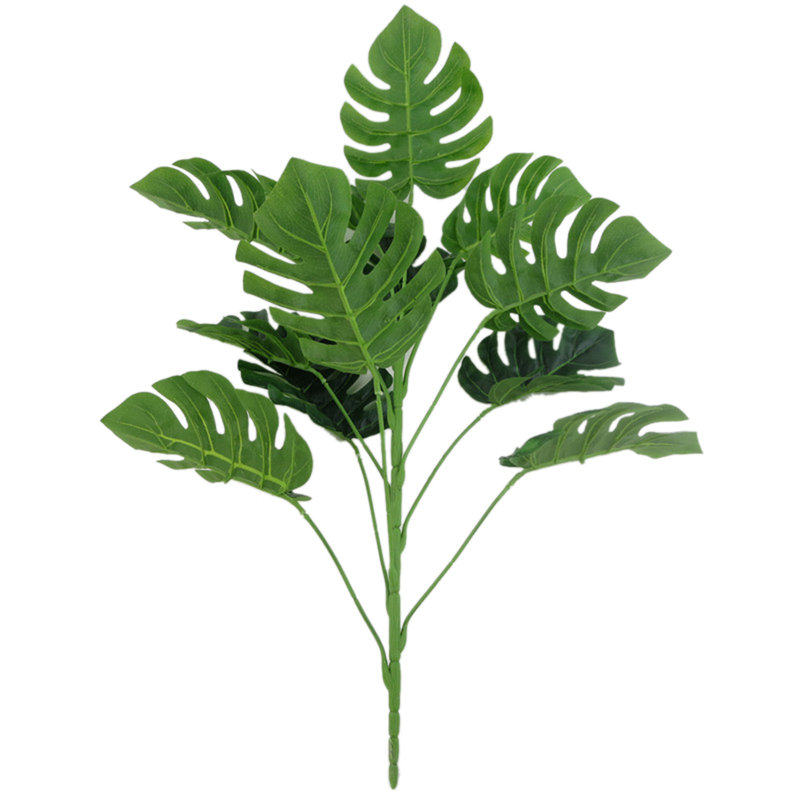 6.38'' Monstera Plant, 6.38' H x 6.38 ' W x 2.05 'D