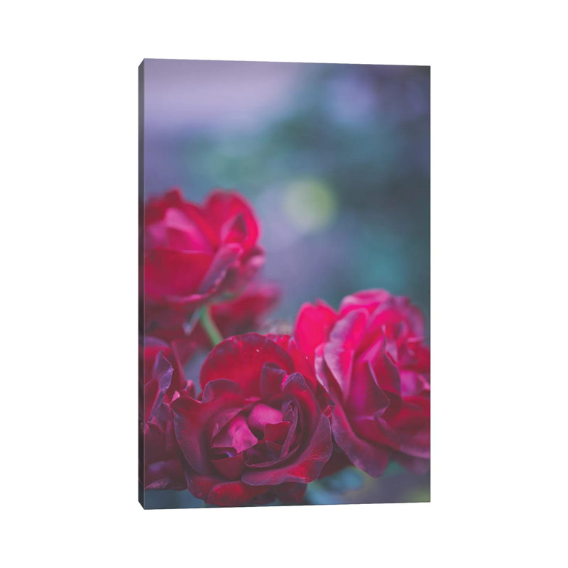 Roses Are Red by Ann Hudec - Wrapped Canvas Print, 20.32 cm H x 30.48 cm W