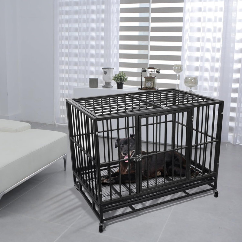 Cage pour chien