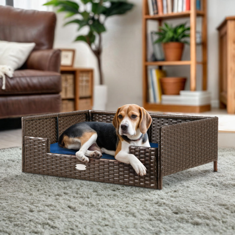 Canapé-lit en rotin et osier pour chien ou chat, Bleu, H 15 po x l 38,6 po x P 26,4 po