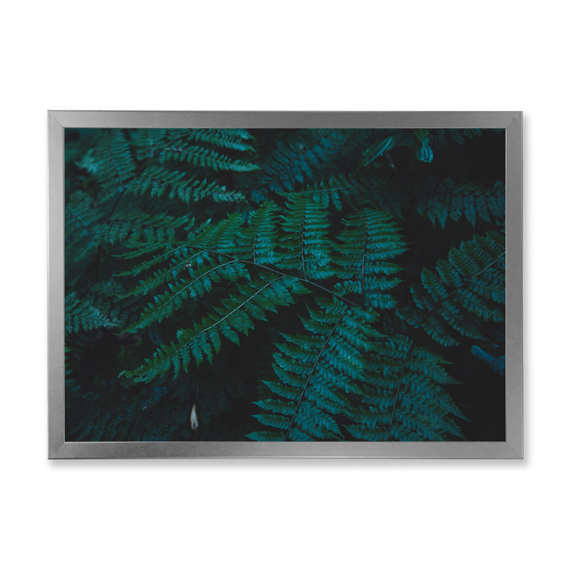 Brownies vert foncé - photographie sur toile, Cadre de coin argenté fermé, H 24 po x l 32 po