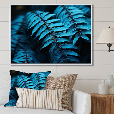 Ferns Turquoise Whimsy I - imprimé