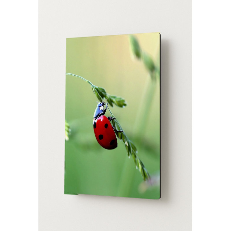 Coccinelle sur tige d'herbe verte — Portrait en métal, H 10 po x l 8 po