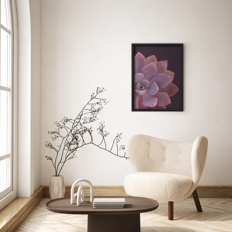 Gros plan, pastel, plante grasse, gros plan, Noir, H 14 po x l 11 po