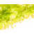 Black Framed Canvas is unavailable