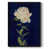 Black Framed Canvas is unavailable