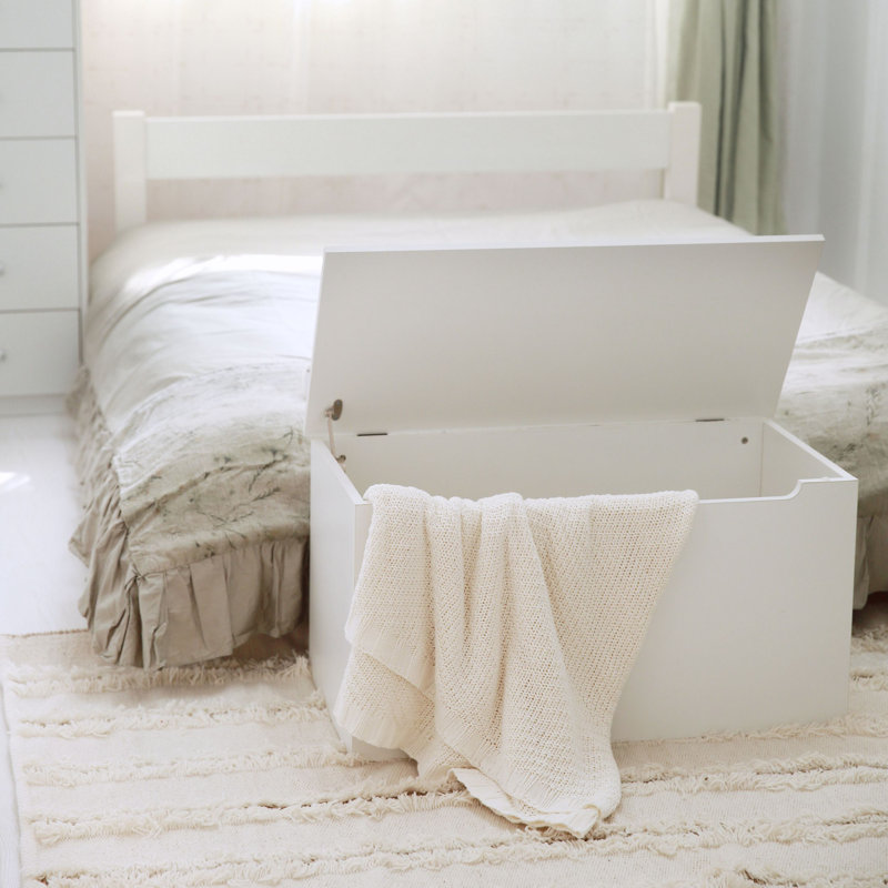 Ingrassia Blanket Chest, White