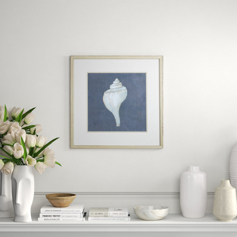 Shell On Slate IV Print by Meagher