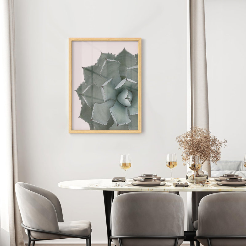 Gros plan sur une plante agave, petite œuvre d'art décorative, Naturel, H 14 po x l 11 po