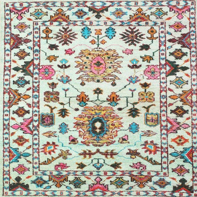 Oriental Indoor Rug
