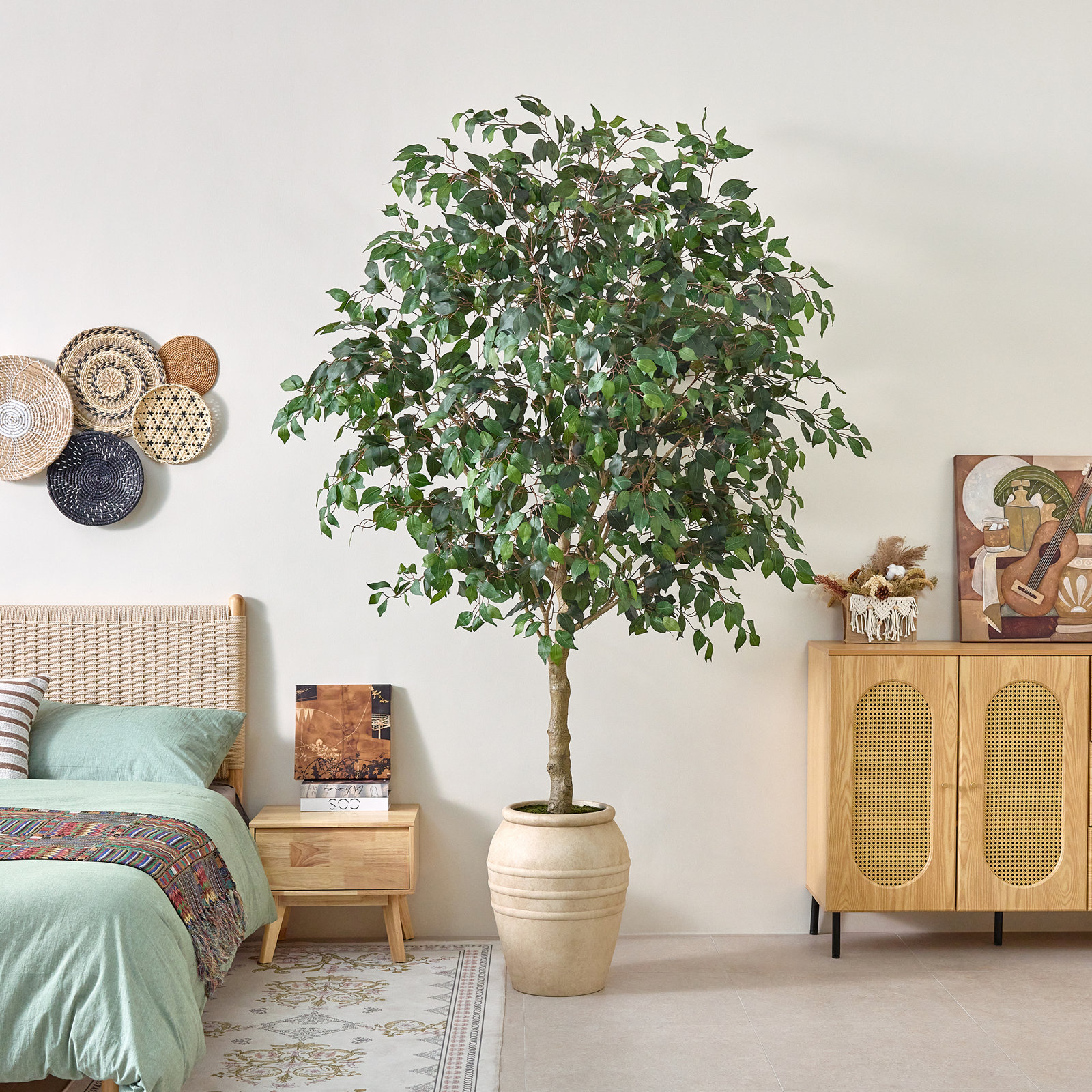Nydia Ficus Tree in Pot, 108" x 68"