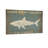 Animals Shark Point Saloon California Sign-1824148432