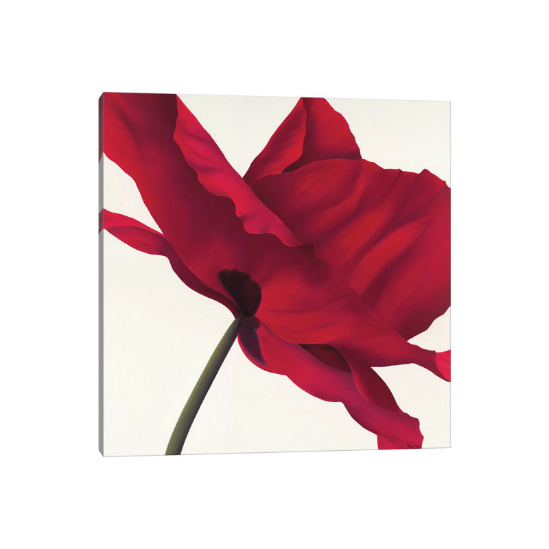 Papaver I by Yvonne Poelstra-Holzhaus - Wrapped Canvas Panoramic Painting, 66.04 cm H x 66.04 cm W x 1.91 cm D