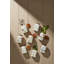 Butterfly Meadow Cooking Spice Jars, Set Of 4