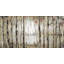 Parvez Taj - Wrapped Canvas Painting-36705791