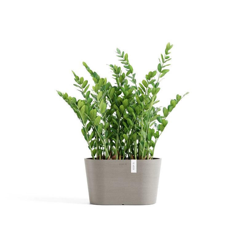 Pot Planter, Beige, 6.5" H x 12" W x 6.5" D