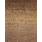 Modern Tibet Hand Knotted Abstract Area Rug in Brown