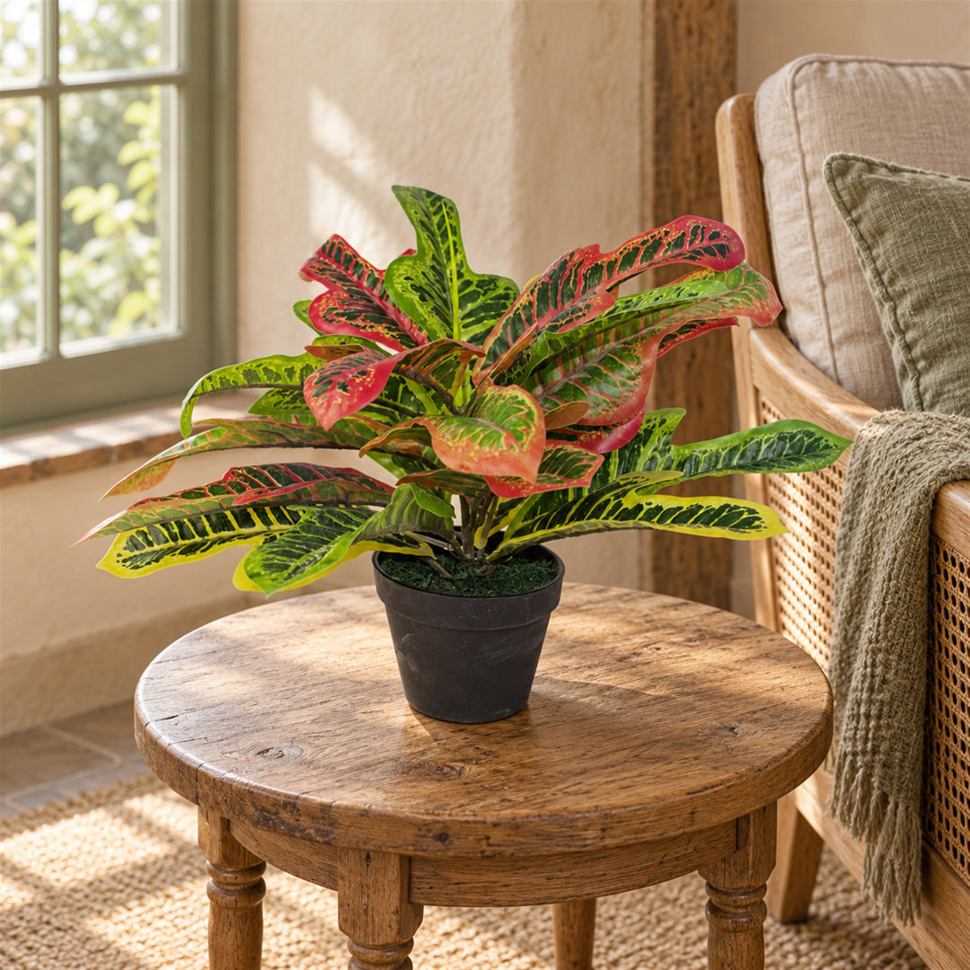B&Q - 40Cm Artificial Codiaeum Multicoloured Plant - Image 4