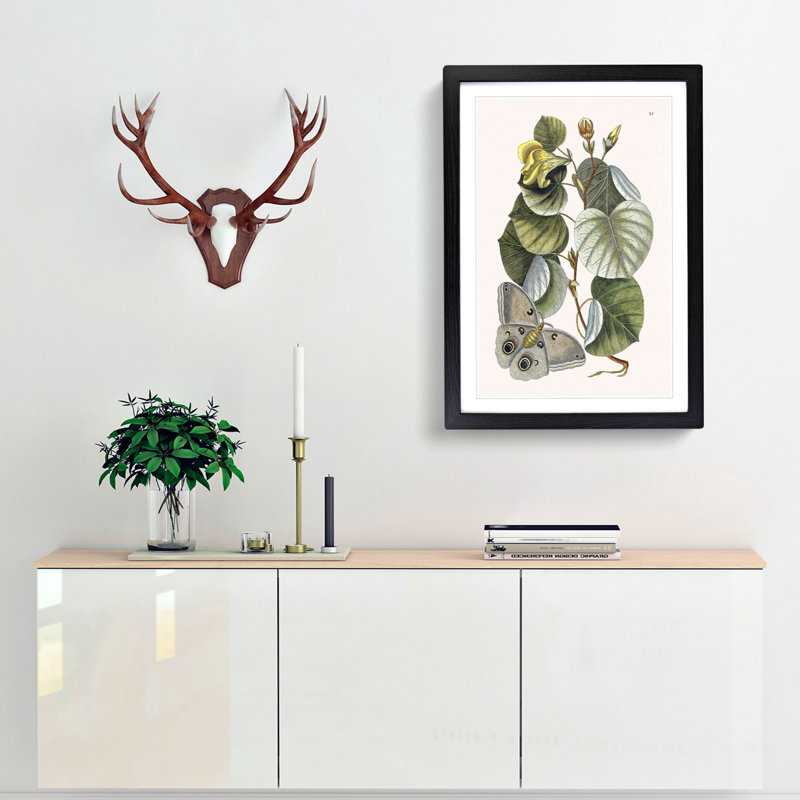 Butterfly & Mano Tree by Mark Catesby - Picture Frame Painting Print, Black Framed, 87cm H x 62cm W x 2cm D