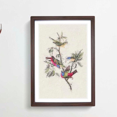 Painted Finches by John Audubon - Picture Frame Painting Print