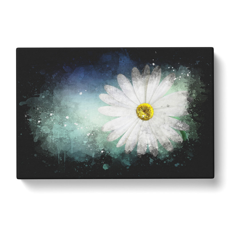 White Daisy Vol.2 Paint Splash - Wrapped Canvas, 50cm H x 76cm W x 3cm D