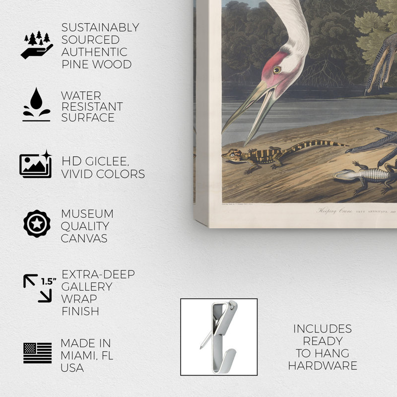Ho Hoing Crane par Robert Havell - Impression sur toile, H 30 po x l 45 po x P 1,5 po, Toile tendue
