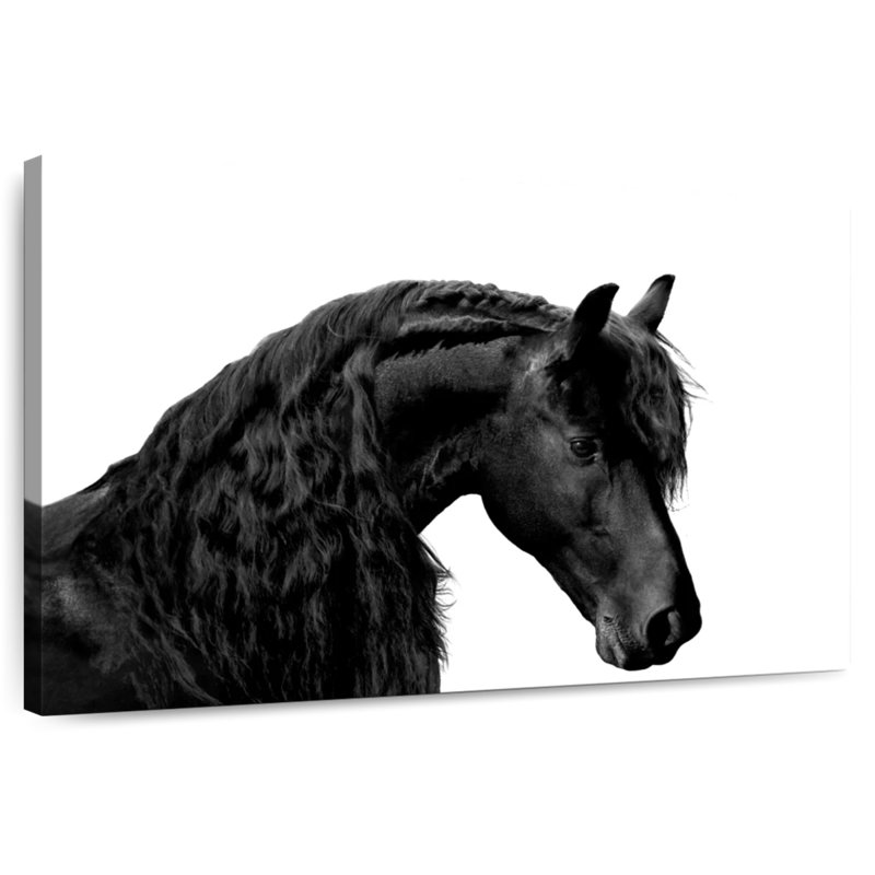 Classic Black I, 24" H x 36" W