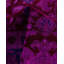 Tapis unique noué à la main Fine Vibrance - rose, 9 pi 5 po x 11 pi 10 po