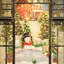 Christmas Decorative Accent