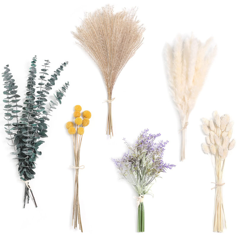 Aquin 17'' Pampas Grass Plant