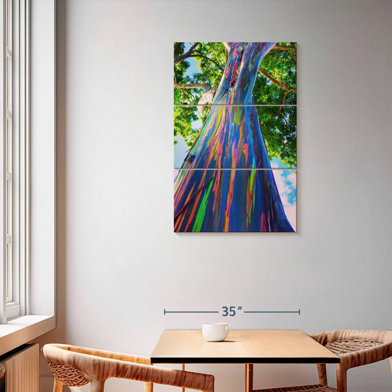 Harnek Oahu Rainbow Eucalyptus Tree, 57" H x 36" W